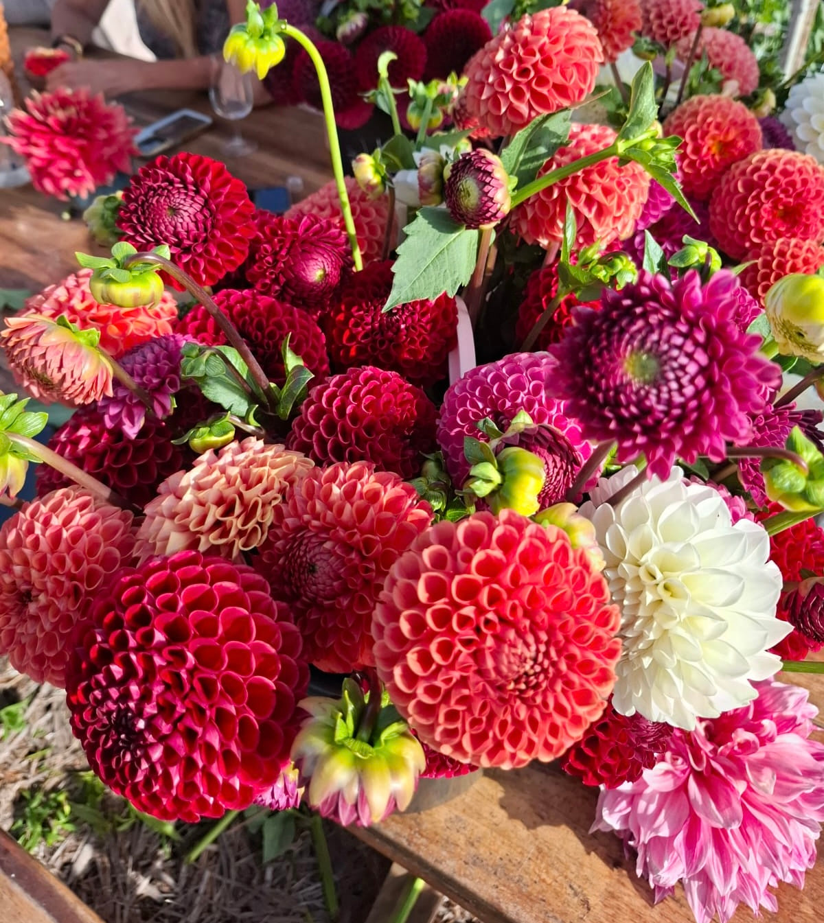 Mix Dahlia Flower Bunch